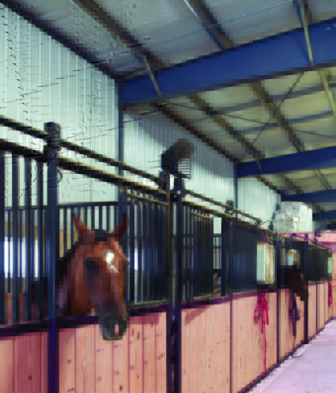 Butler metal building designed for horse stables and riding arenas with durable steel framing and wide‑span equestrian space.