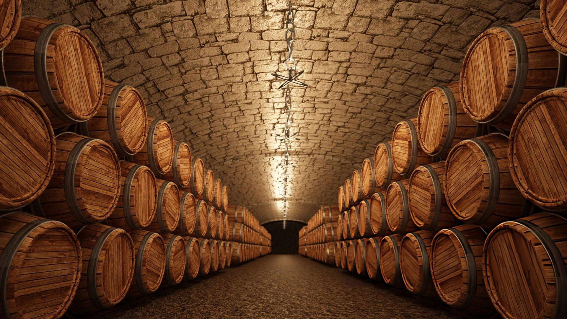Butler Underground cellar filled with wooden barrels